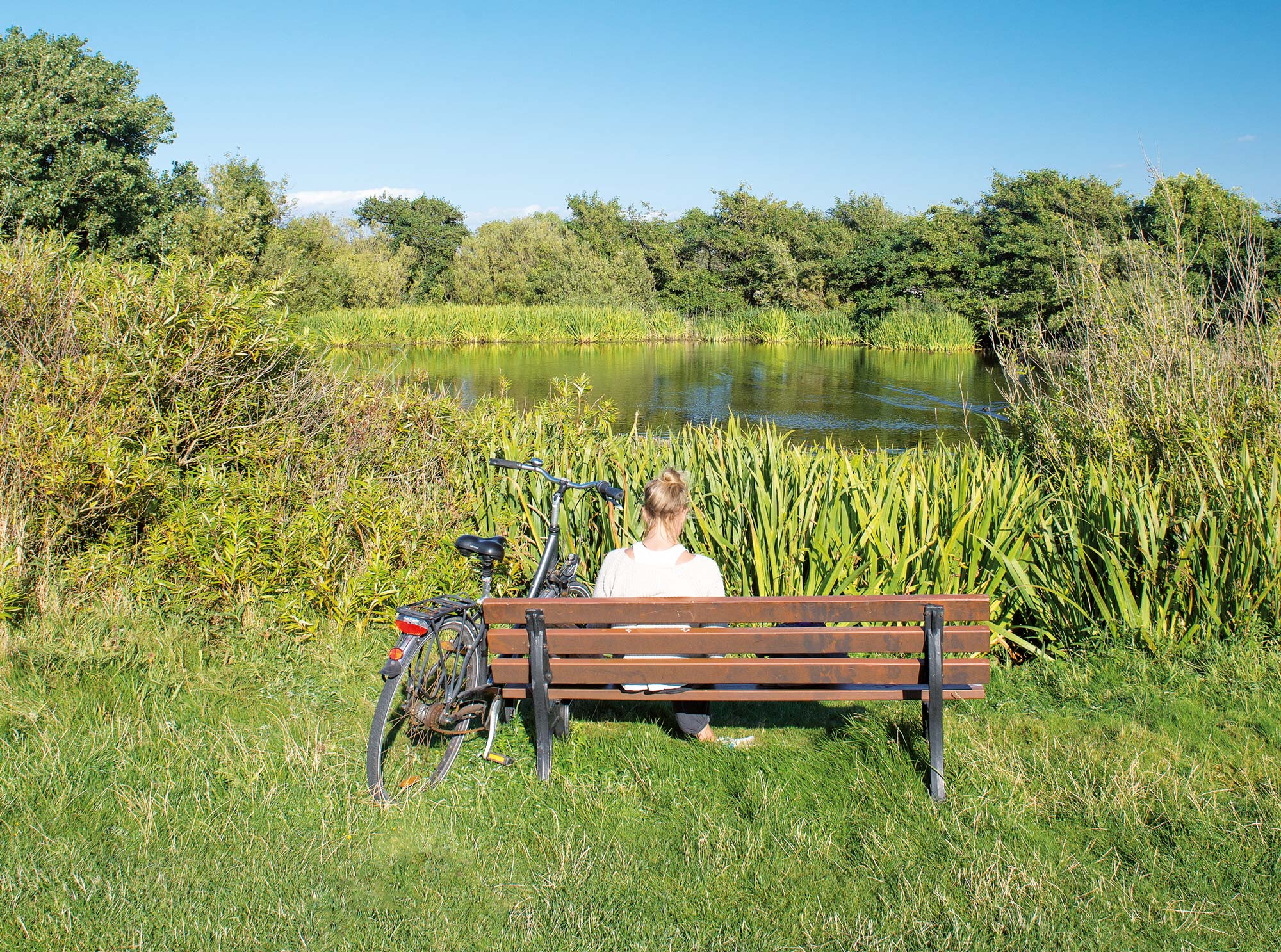 Teich mit Nebenwirkung